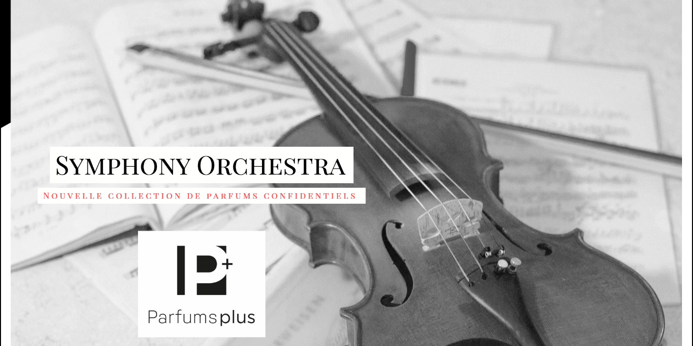 P+ symphony orchestra